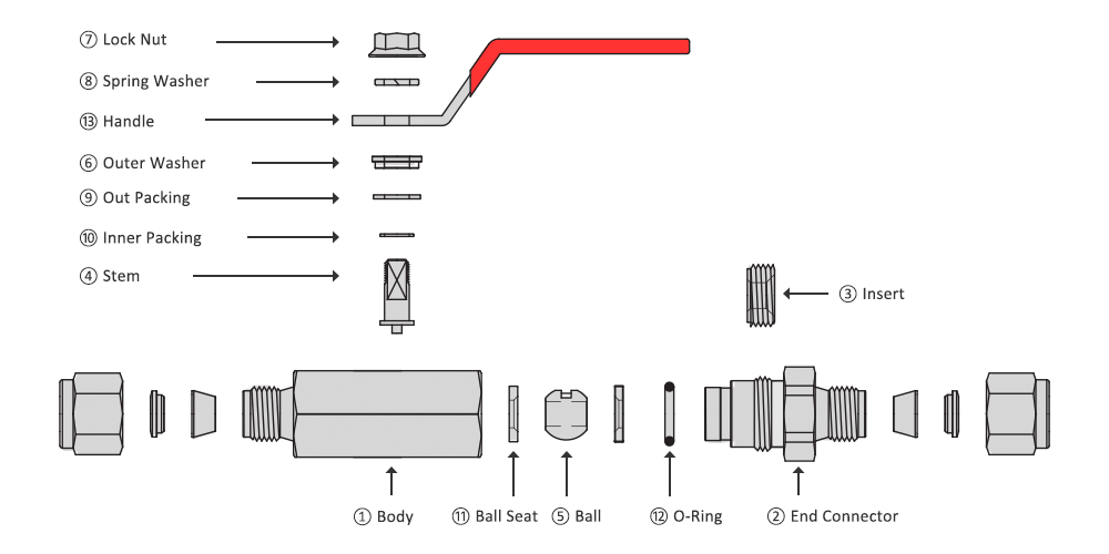 BV3